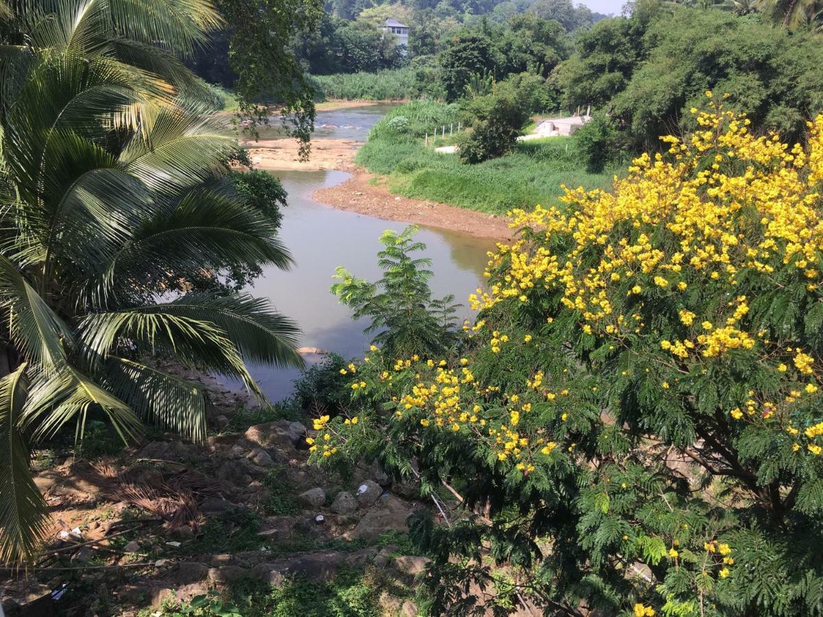 Jenushi Homestay Kandy Dış mekan fotoğraf