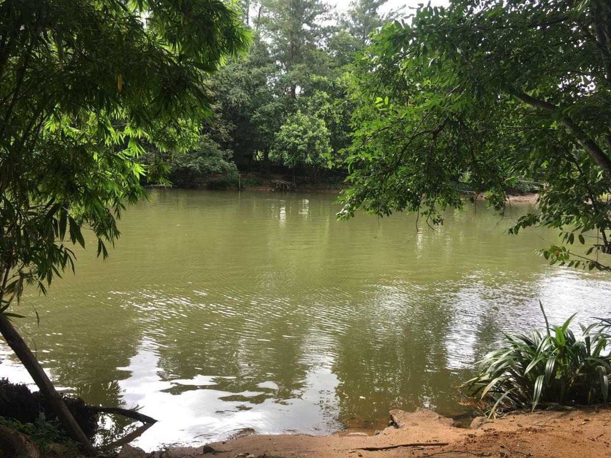 Jenushi Homestay Kandy Dış mekan fotoğraf
