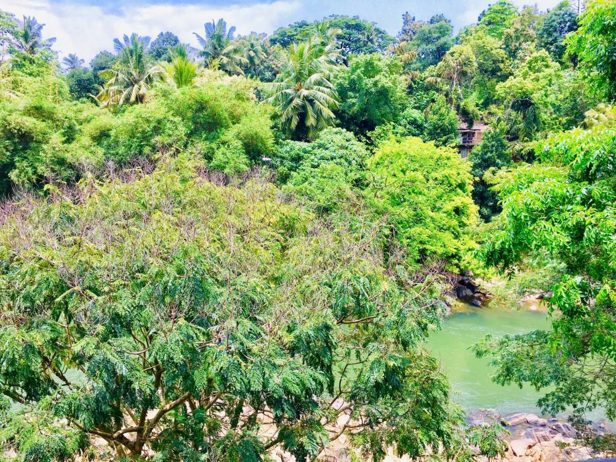 Jenushi Homestay Kandy Dış mekan fotoğraf
