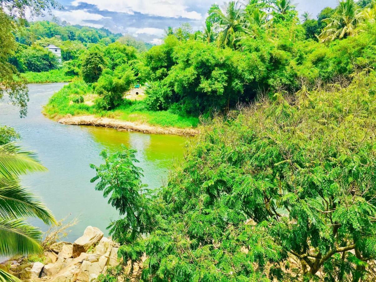 Jenushi Homestay Kandy Dış mekan fotoğraf